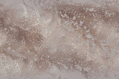 CAESARSTONE