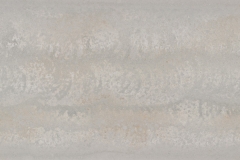 Primordia *NEW*