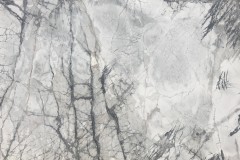 Invisible White
